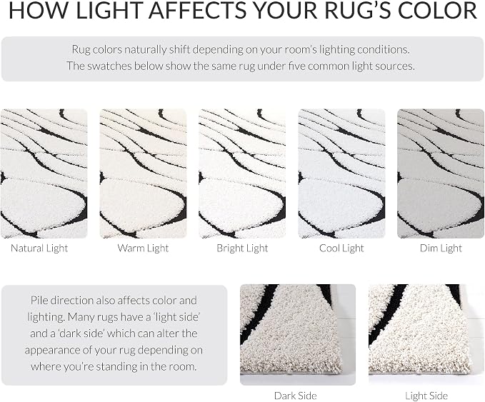 SAFAVIEH Florida Shag Collection Area Rug - Image 9