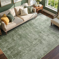 6x9 Ft Large Area Rugs for Living Room, Soft Non-Slip Washable Rugs Modern by Cuzwlovita