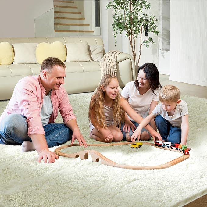 Ultra Soft Rug for Living Room, 4X6 Fluffy Shag Area Rug for Bedroom, Modern - Image 8