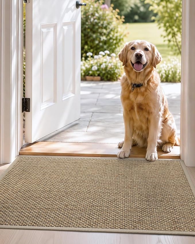 DEXI Ultra Thin Entryway Indoor Door Mat 24x36, Non Slip Rubber Backing Inside - Image 9