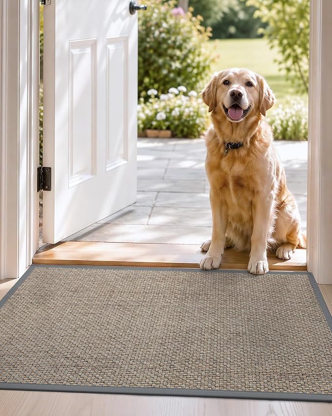 DEXI Ultra Thin Entryway Indoor Door Mat 24x36, Non Slip Rubber Backing Inside - Image 9