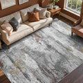 5x7 Ft Abstract Area Rugs for Living Room, Soft Non-Slip Modern Washable Rugs by Cuzwlovita