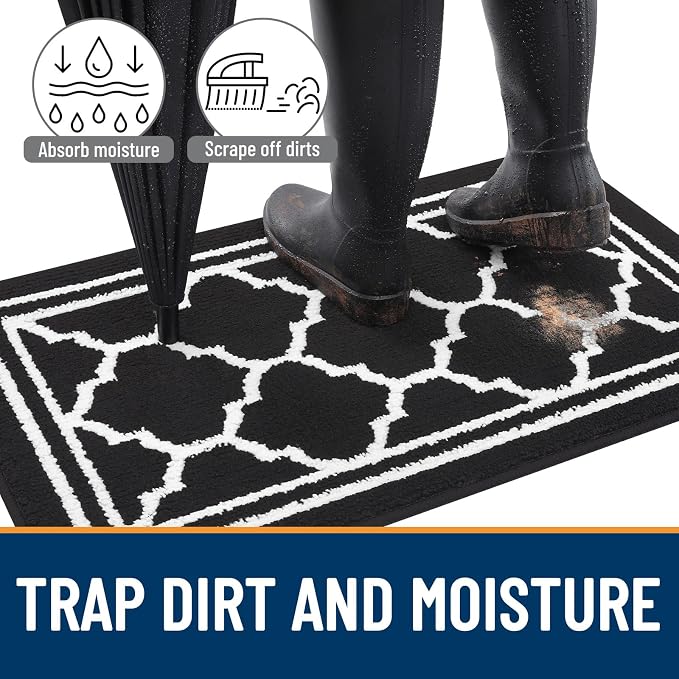 Buganda Large Indoor Door Mat, Dirt-Resistant and Absorbent Doormat, Low - Image 2