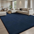 Sour Lemon 4x6 Area Rugs for Living Room, Soft Area Rug Fluffy Rugs for by SourLemon