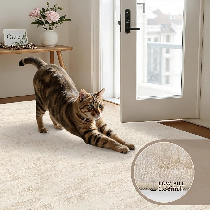 6x9 Area Rugs for Living Room: Vintage Boho Neutral Washable Rug Indoor Soft - Image 7