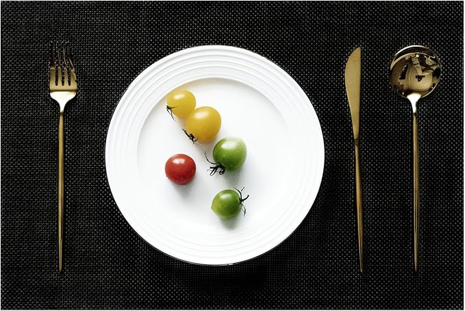 Placemats Set of 4 Vinyl/Plastic Woven Place Mats by Unknown