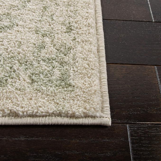 SAFAVIEH Area Rug 9x12 - Image 5