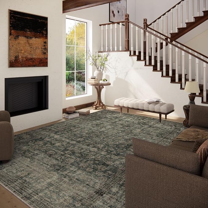 Washable Living Room Area Rug: 5x7 Rugs - Image 3