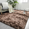 FlyDOIT Large Area Rugs for Living Room, 4x6 Feet Tie-Dyed Coffee Shaggy Rug by FlyDOIT