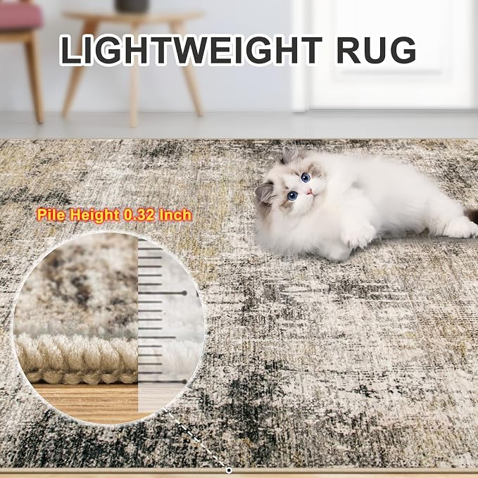 Area Rugs 10x14 Living Room - Image 7
