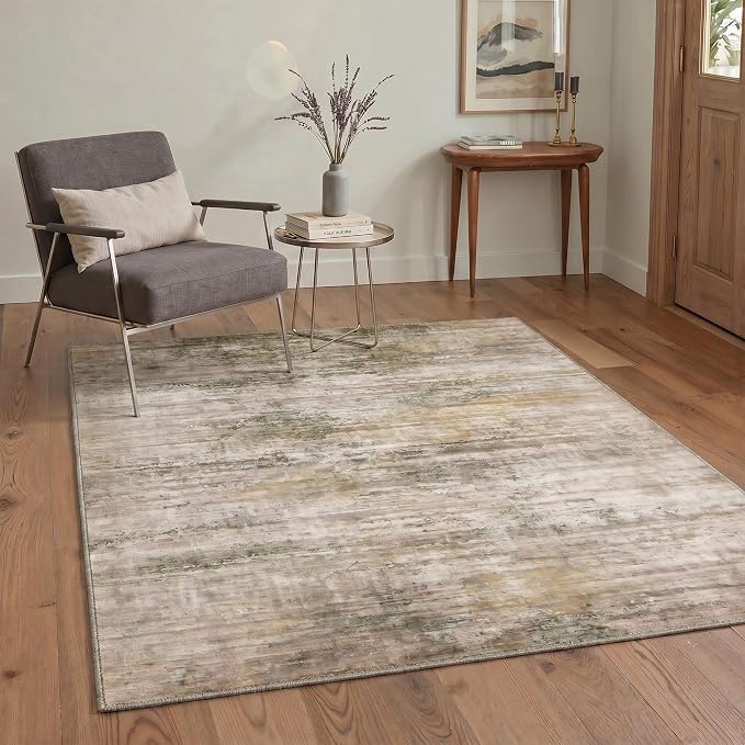 BEIMO Area Rugs 3x5 for Living Room Bedroom, Modern Abstract Machine Washable by BEIMO
