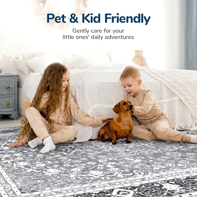 Lessymo 5x7 Area Rugs for Living Room - Image 4