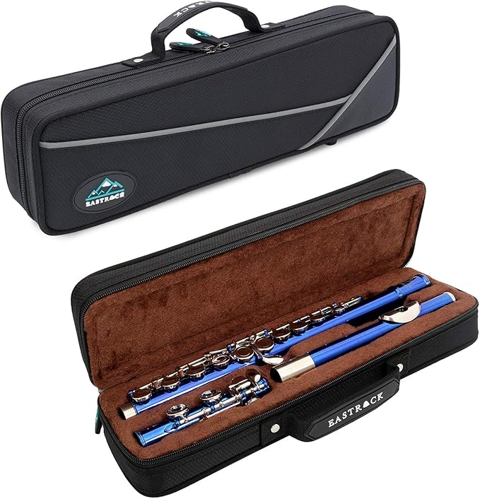 EASTROCK Closed Hole Flutes C 16 Key for Beginner, Kids, Student -Silver Nickel Flute with Case Stand and Cleaning kit (Blue)