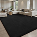 Sour Lemon 6x9 Area Rugs for Living Room, Soft Large Area Rug Fluffy Rugs for by SourLemon