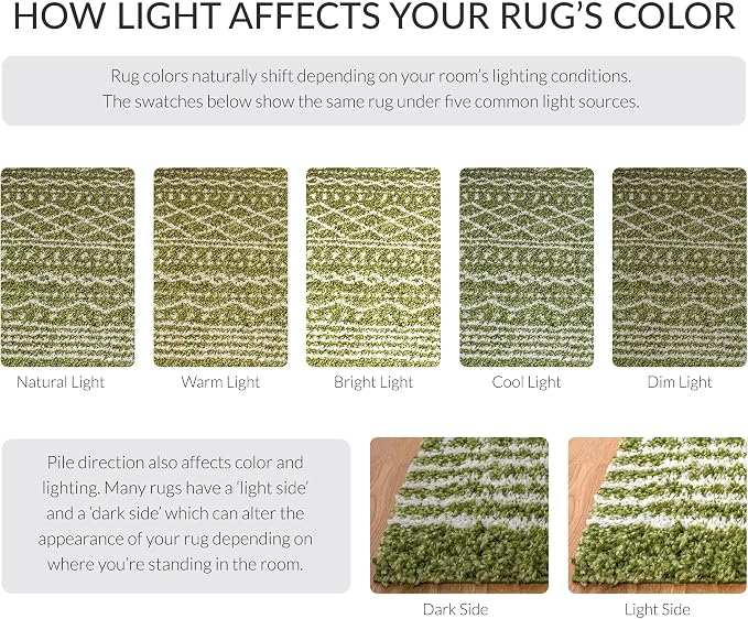 SAFAVIEH Arizona Shag Collection Area Rug - Image 9
