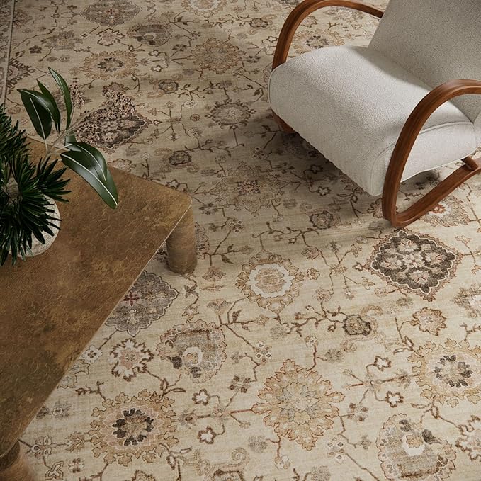Machine Washable Rug for Living Room: 5x7 Area Rugs Boho Vintage Rug Stain - Image 4