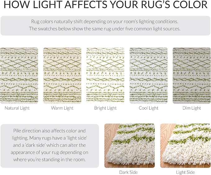 SAFAVIEH Arizona Shag Collection Area Rug - Image 8
