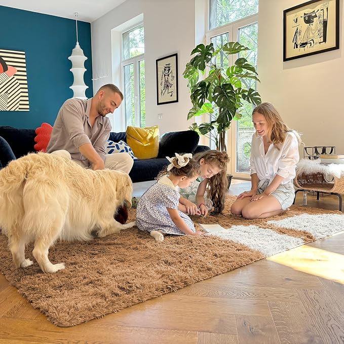 OLANLY 2x3 Machine Washable Small Bedside Rug, Soft Fluffy Shaggy Entryway - Image 6