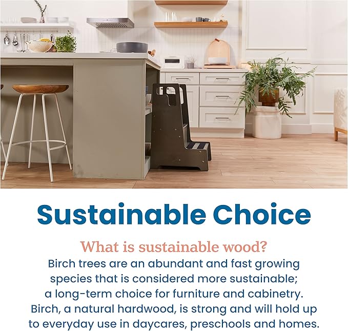 ECR4Kids Reach-Up Step Stool with Handles, Kids Furniture, Grey Wash