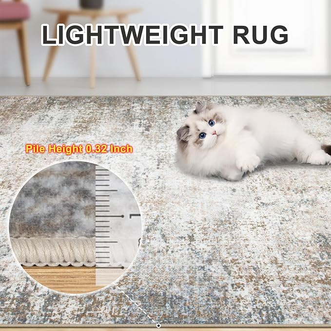8x10 Area Rugs for Living Room - Image 5