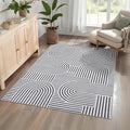 ROYHOME Washable Rug 5x7 Area Rugs by ROYHOME