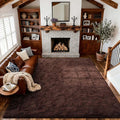 4x6 Ft Brown Shag Rugs for Bedroom Living Room, Ultra Soft Fluffy Furry Area by Cuzwlovita