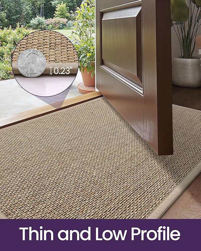 DEXI Ultra Thin Entryway Indoor Door Mat 32x48, Non Slip Rubber Backing Inside - Image 4