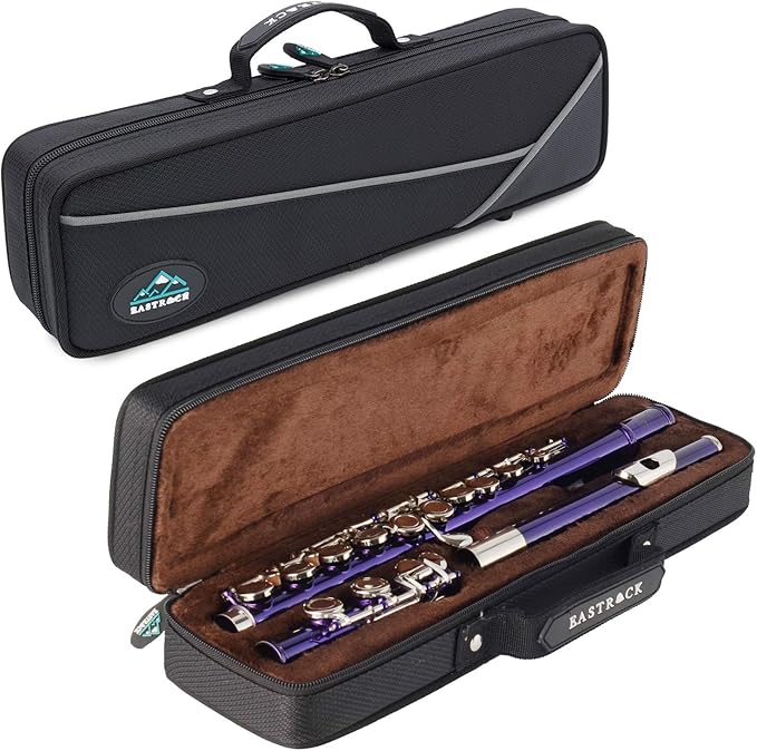 EASTROCK Closed Hole Flutes C 16 Key for Beginner, Kids, Student -Nickel Flute with Case Stand and Cleaning kit (Purple)
