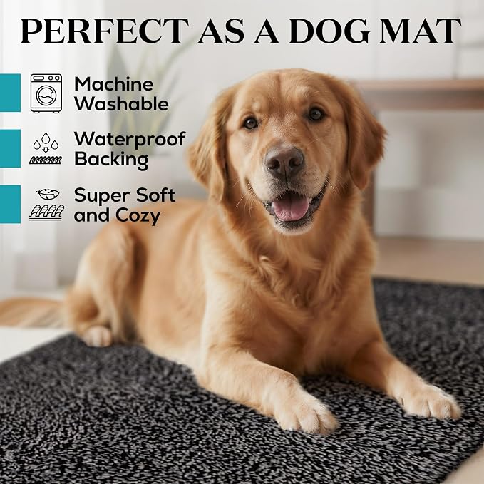Premium Microfiber Indoor Door Mat – 20"x30" Washable Entry Mat, Waterproof - Image 2