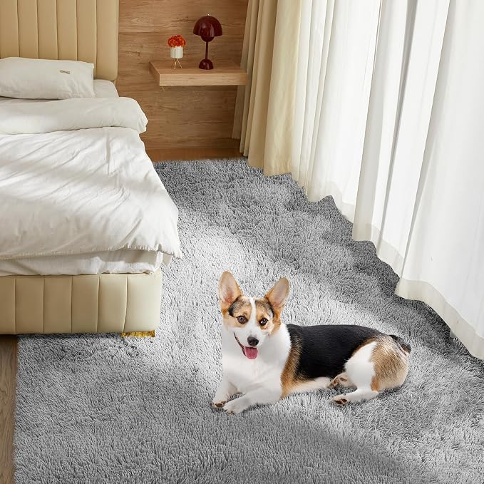 Ultra Soft Rug for Living Room, 5X8 Fluffy Shag Area Rug for Bedroom, Modern - Image 6
