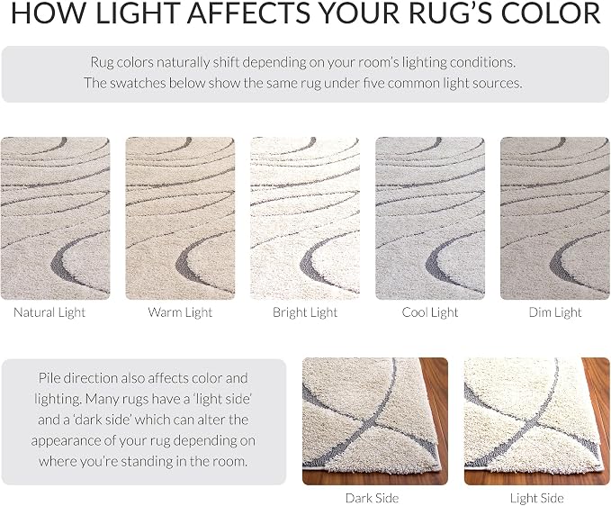 SAFAVIEH Florida Shag Collection Area Rug - Image 8