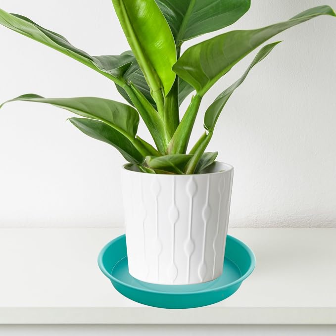 4 Pack of 14 inch Plant Saucers Bird Bath Bow Round, Plastic Plant Saucer Tray - Image 5