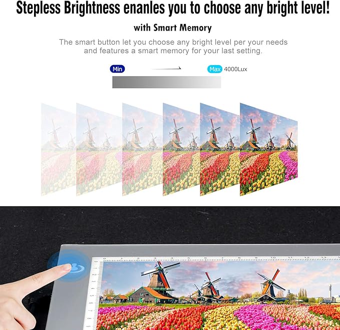 LitEnergy Portable A4 LED Copy Board Light Tracing Box, Silver Ultra-Thin Adjustable USB Power Artcraft LED Trace Light Pad for Tattoo Drawing, Streaming, Sketching, Animation, Stenciling