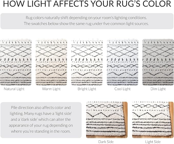 SAFAVIEH Accent Rug 2x3 - Image 10