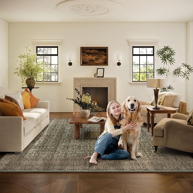 Machine Washable Rugs for Living Room: 5x7 Area Rugs Boho Vintage Rugs Stain - Image 8