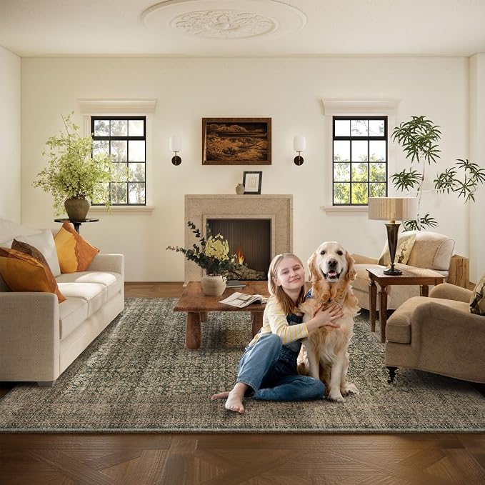 Machine Washable Rugs for Living Room: 9x12 Area Rugs Boho Vintage Rugs Stain - Image 6