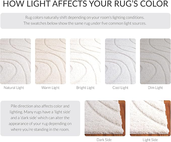 SAFAVIEH Florida Shag Collection Area Rug - Image 10