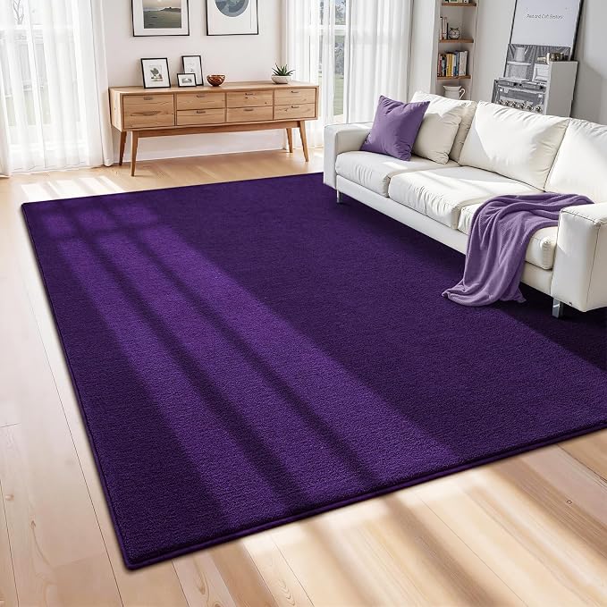 ISEAU 8x10 Rug for Living Room, Soft Memory Foam Carpet - Image 6
