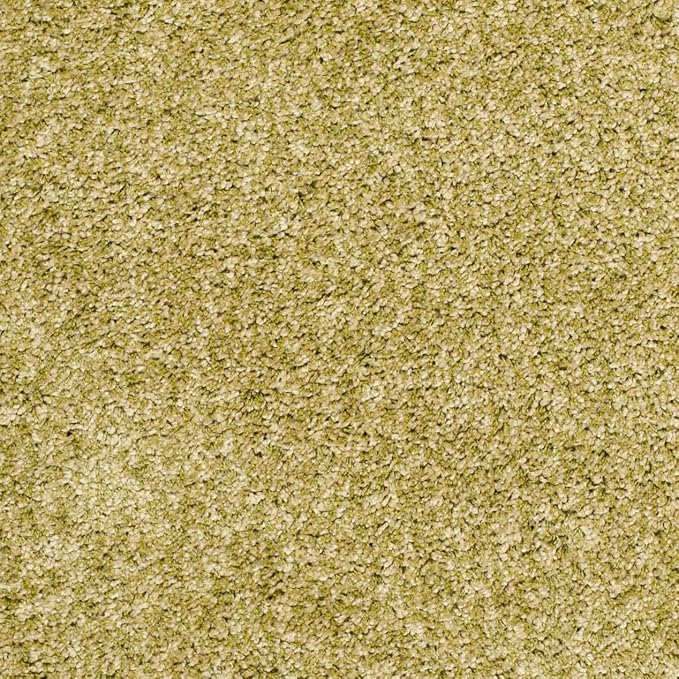 SAFAVIEH Area Rug 3x5 - Image 7