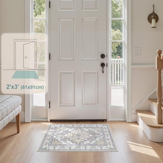 Tortania Area Rug 2x3 Doormat - Image 5