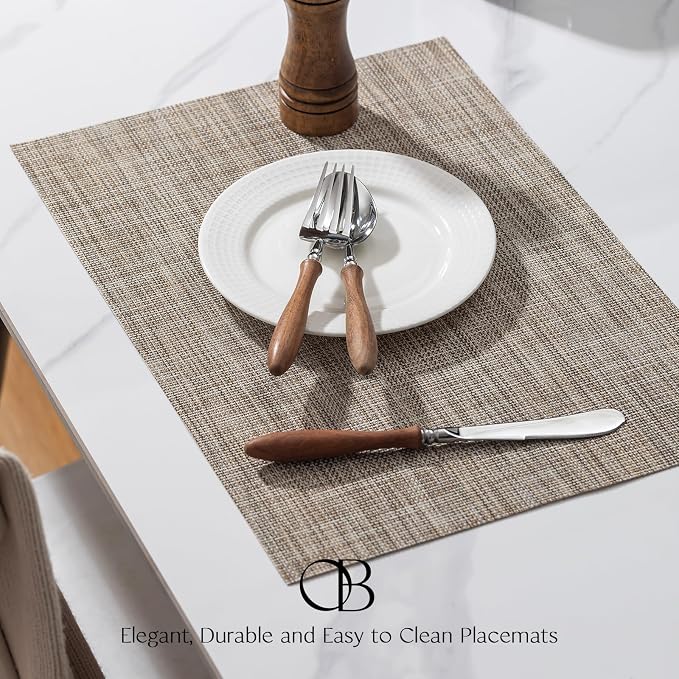 Placemats Set of 12 - Image 3