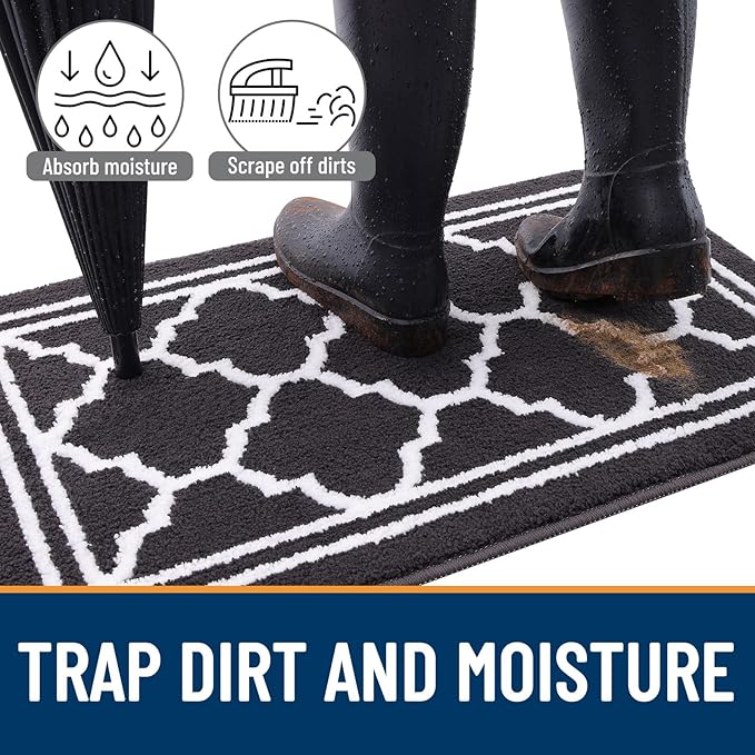 Buganda Indoor Door Mat, Dirt-Resistant and Absorbent Doormat, Low Profile - Image 2