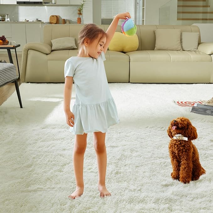 5X8 Ultra Soft Rug for Living Room, Fluffy Shag Area Rug for Bedroom, Modern - Image 6