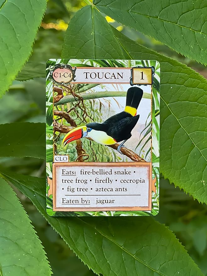 Ecologies: Hidden Habitats - Use Science to Build Food Webs in 7 Biomes - Beautiful Vintage Nature Art for The Classroom or Game Night
