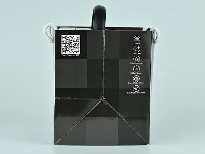 Divoom Ditoo Retro Pixel Art Game Bluetooth Speaker with 16X16 LED App Controlled Front Screen (Black)