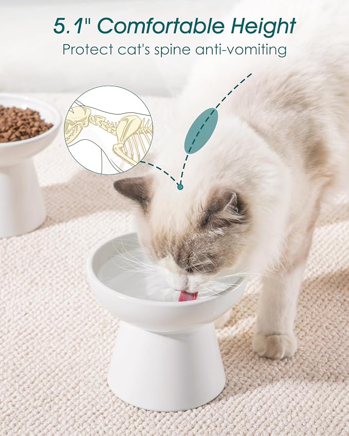 vancasso Extra Wide Elevated Cat Bowls 2-Pack, Shallow Ceramic Raised Cat Food - Image 5