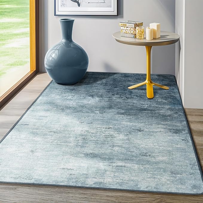 LIANLAM Washable Rug 4x6 Area Rugs by LIANLAM