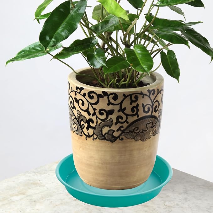 2 Pack of 10 inch Plant Saucer Gray, Heavy Duty Plastic Plant Saucer 10 inch - Image 6