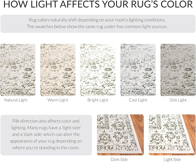 SAFAVIEH Adirondack Collection Area Rug - Image 4
