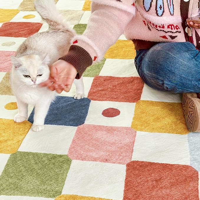 jinchan Macy Area Rug 2x3 Kids Entryway Washable Indoor Doormat Small Soft Non - Image 4